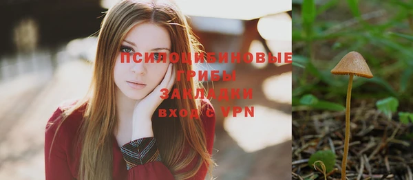 метадон Козловка