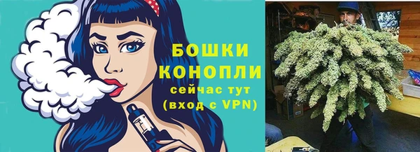 спайс Корсаков