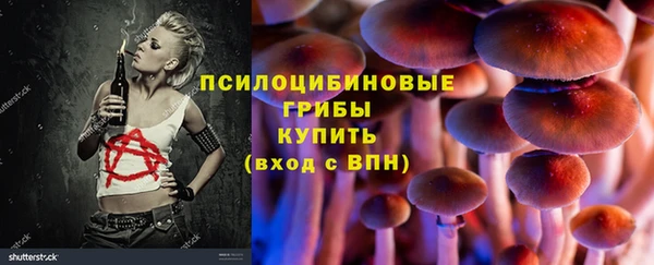 спайс Корсаков